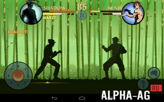    Shadow Fight 2 -  7